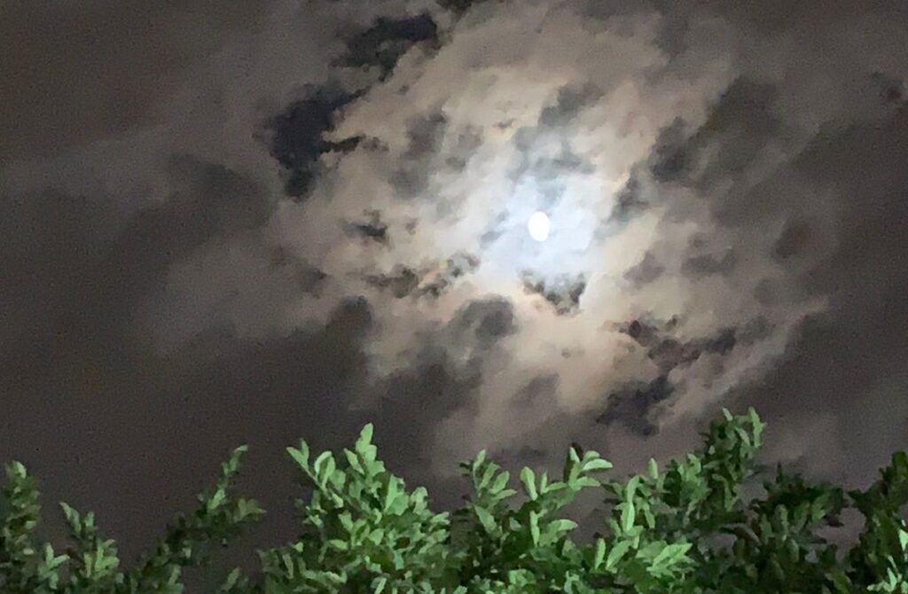 noche de luna